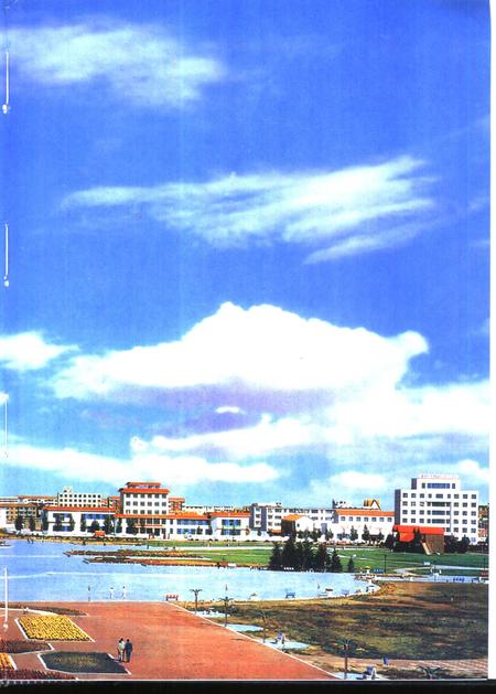 1999-锡林浩特市志.pdf电子版_内蒙古志插图3