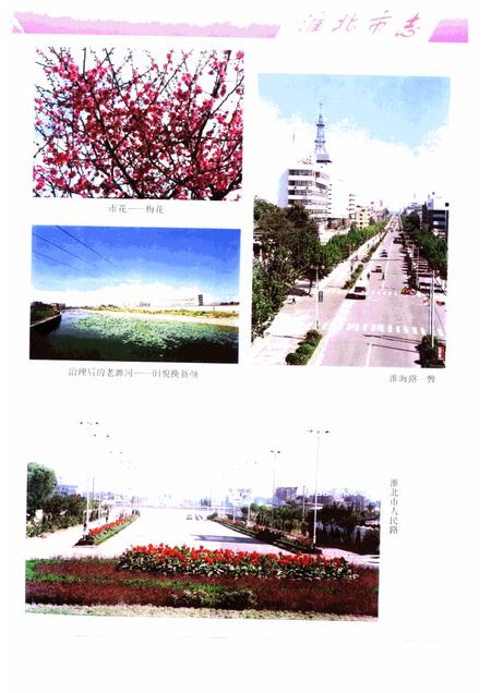 1999版淮北市志.pdf电子版_安徽省志插图3