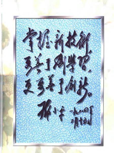 2000-宝钢志  1993-1998.pdf电子版_上海市志插图3