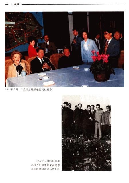 -上海县要览.pdf电子版_上海市志插图3