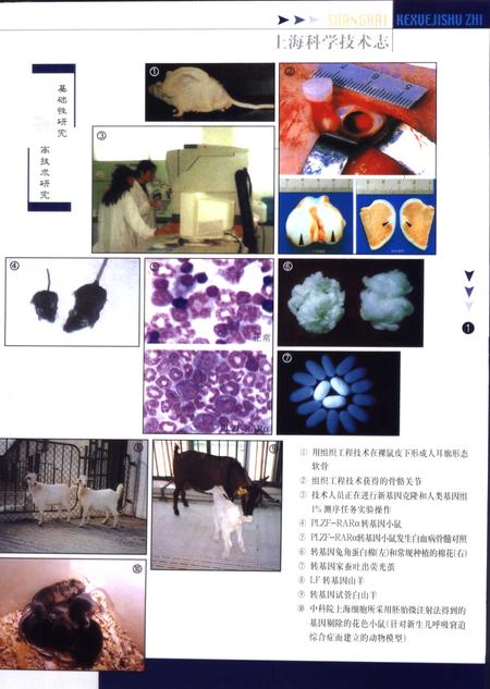 2003-上海科学技术志  1991-1999.pdf电子版_上海市志插图3