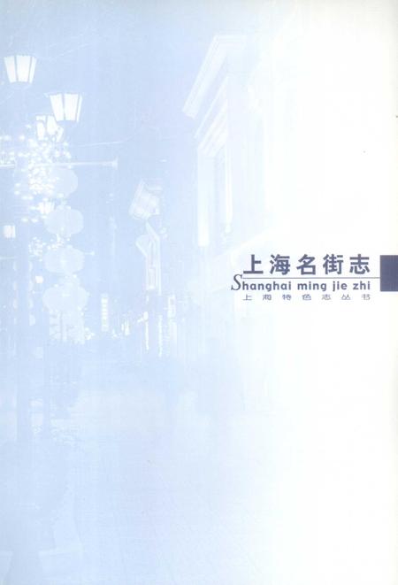 2004-上海名街志.pdf电子版_上海市志插图3