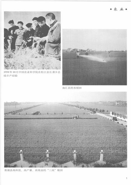 2005-上海通志  第5册.pdf电子版_上海市志插图3