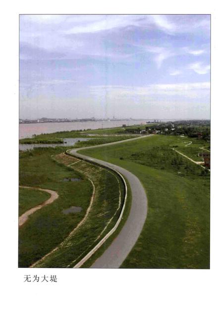 2005版无为大堤志.pdf电子版_安徽省志插图3