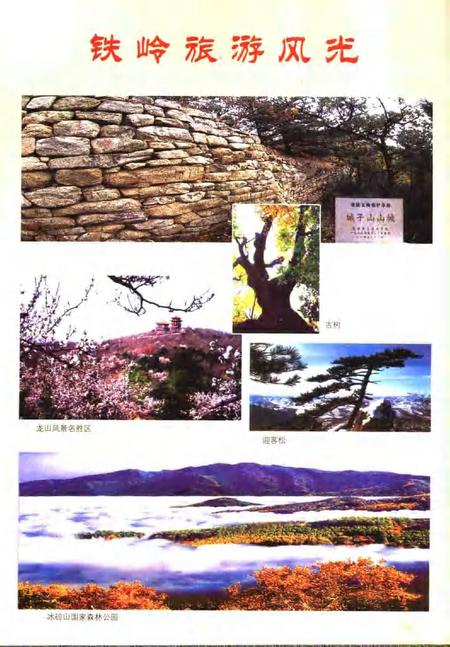 2006-铁岭年鉴  2006.pdf电子版_辽宁省志插图3