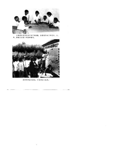 1976版农业学大寨先进典型  涡阳大地披绿装.pdf电子版_安徽省志插图3