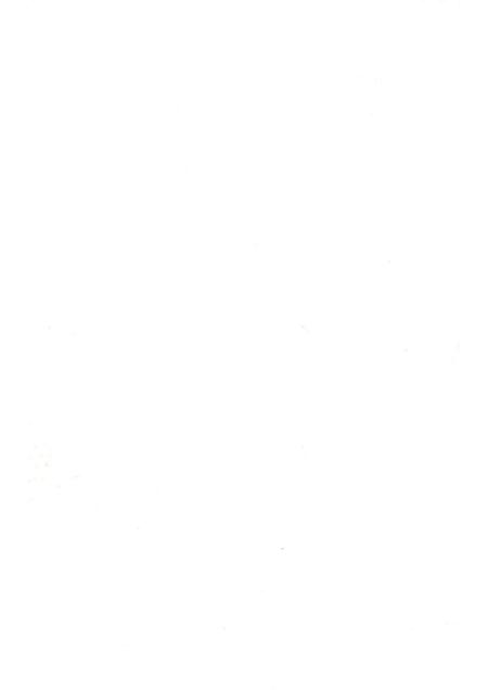 2008版宿州志  嘉靖.pdf电子版_安徽省志插图3