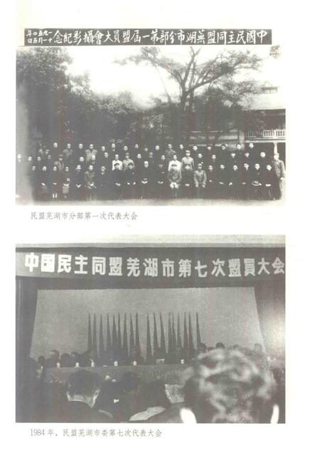 2013版芜湖民盟史.pdf电子版_安徽省志插图3
