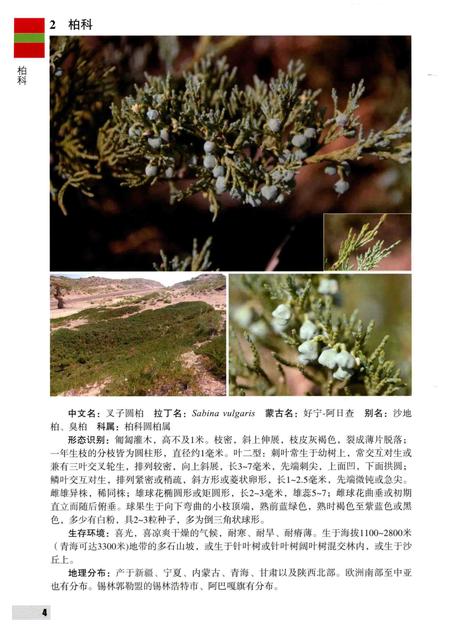 2016-内蒙古自治区锡林郭勒盟木本植物图鉴.pdf电子版_内蒙古志插图3