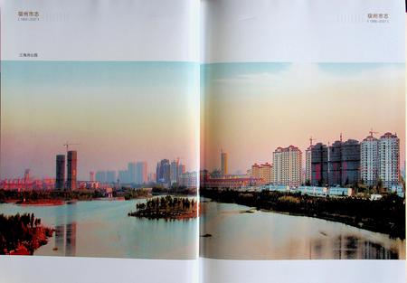 宿州市志(1988-2007)上.pdf电子版_安徽省志插图3