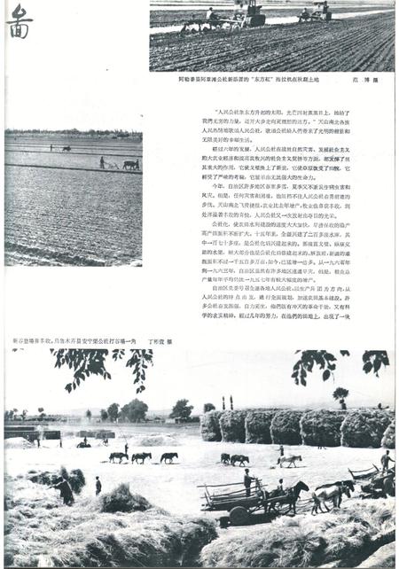 新疆画报1964年第05期.pdf电子版_新疆维吾尔族自治区志插图3
