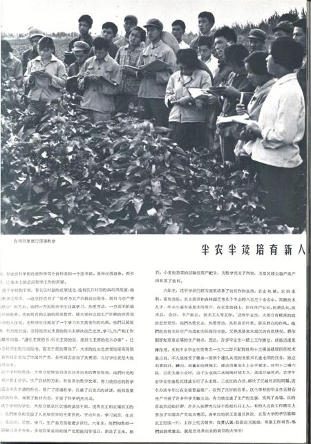 新疆画报1964年第06期.pdf电子版_新疆维吾尔族自治区志插图3