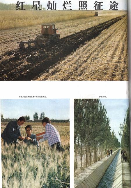 新疆画报1979年第04期.pdf电子版_新疆维吾尔族自治区志插图3