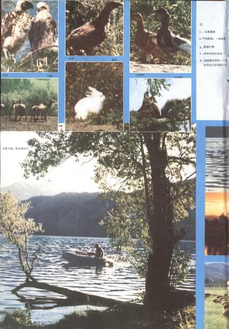 新疆画报1981年第01期.pdf电子版_新疆维吾尔族自治区志插图3