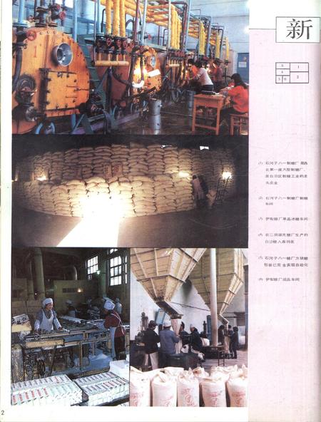 新疆画报1989年第01期.pdf电子版_新疆维吾尔族自治区志插图3