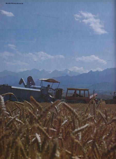 新疆画报1991年第06期.pdf电子版_新疆维吾尔族自治区志插图3