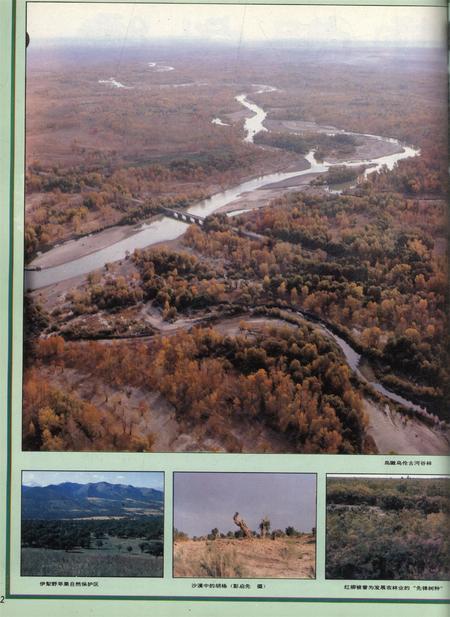 新疆画报1992年第03期.pdf电子版_新疆维吾尔族自治区志插图3