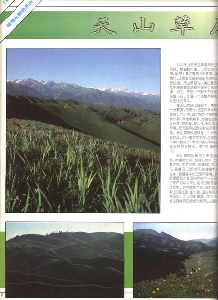 新疆画报1999年第01期.pdf电子版_新疆维吾尔族自治区志插图3