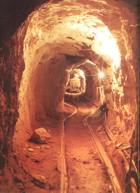 新疆画报2009年第04期.pdf电子版_新疆维吾尔族自治区志插图3