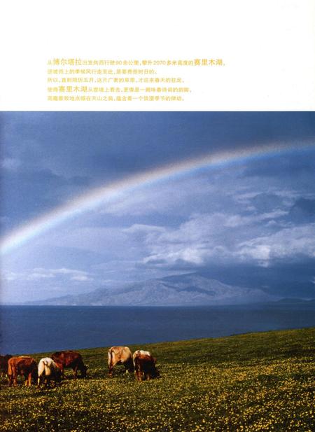 新疆画报2009年第05期.pdf电子版_新疆维吾尔族自治区志插图3