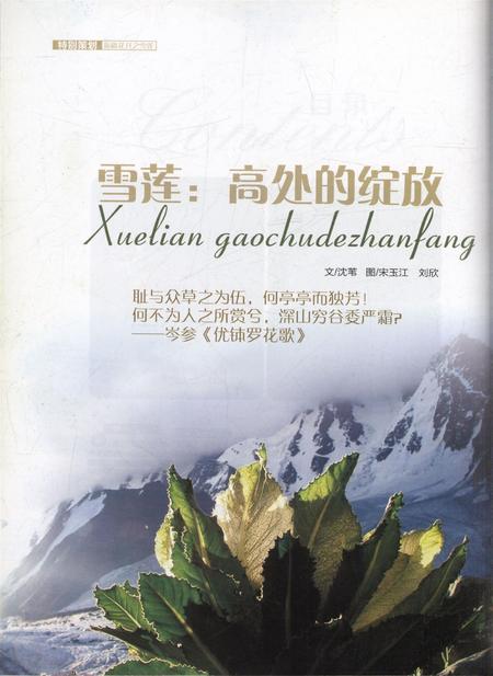 新疆画报2010年第06期.pdf电子版_新疆维吾尔族自治区志插图3