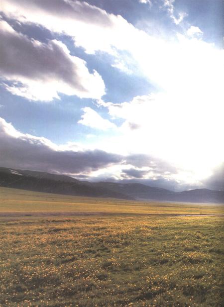 新疆画报2010年第10期.pdf电子版_新疆维吾尔族自治区志插图3