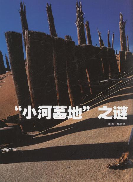 新疆画报2010年第12期.pdf电子版_新疆维吾尔族自治区志插图3