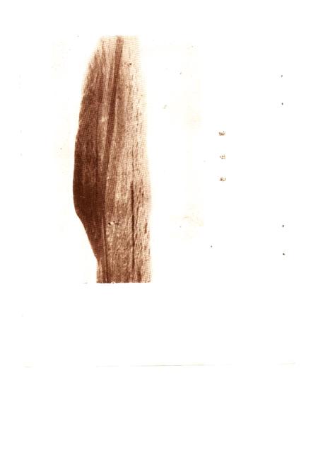 1984版临泉史话  第1集.pdf电子版_安徽省志插图3