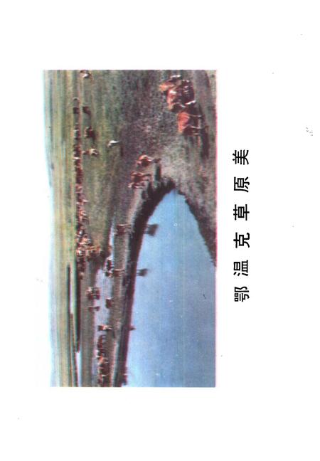 1986-鄂温克族自治旗社会经济发展概况  1981-1985.pdf电子版_内蒙古志插图3