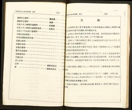 湖南曹氏族谱-三峰曹氏受三房合修通谱.pdf电子版插图4