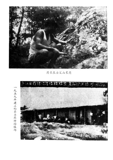 1986版庐江县药志.pdf电子版_安徽省志插图4