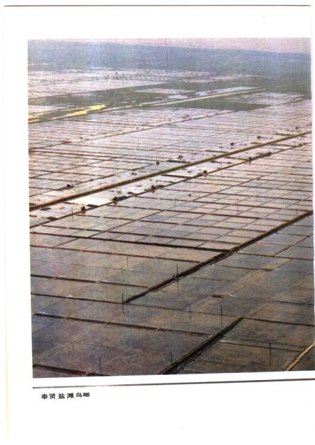 1987-奉贤盐政志.pdf电子版_上海市志插图4