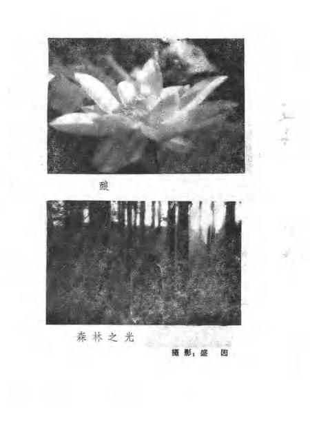 1987版南陵县文史资料  第6辑.pdf电子版_安徽省志插图4