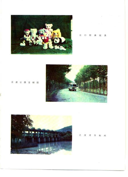 1988版全椒县志.pdf电子版_安徽省志插图4