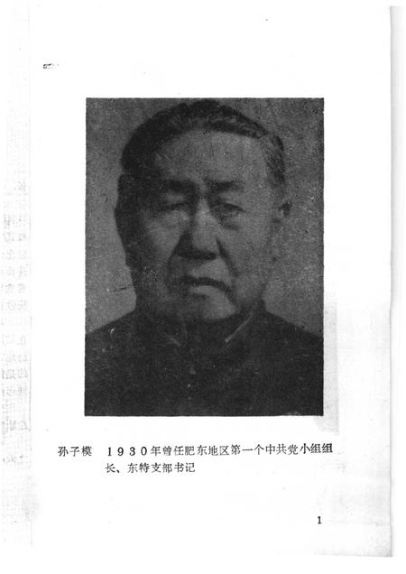 1989版肥东党史资料选辑  第2辑.pdf电子版_安徽省志插图4