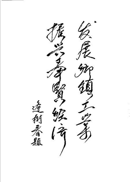 1990-上海市奉贤县乡镇工业志.pdf电子版_上海市志插图4