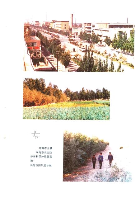 1990-乌海市农业区划.pdf电子版_内蒙古志插图4