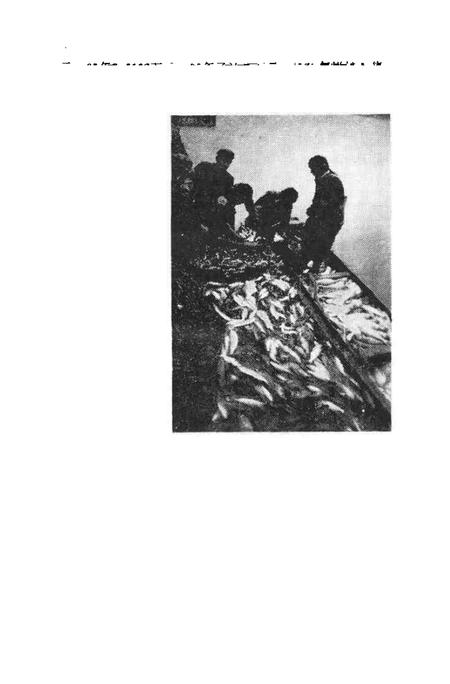 1990版南陵县文史资料  1990年第10辑.pdf电子版_安徽省志插图4