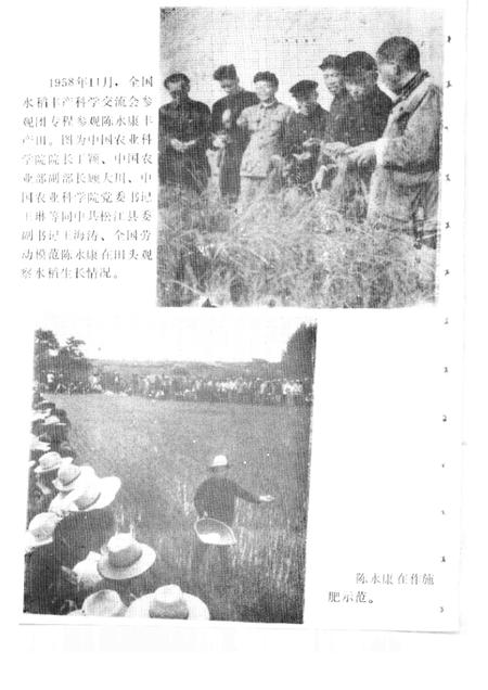 -松江文史  第14辑  陈永康专辑.pdf电子版_上海市志插图4