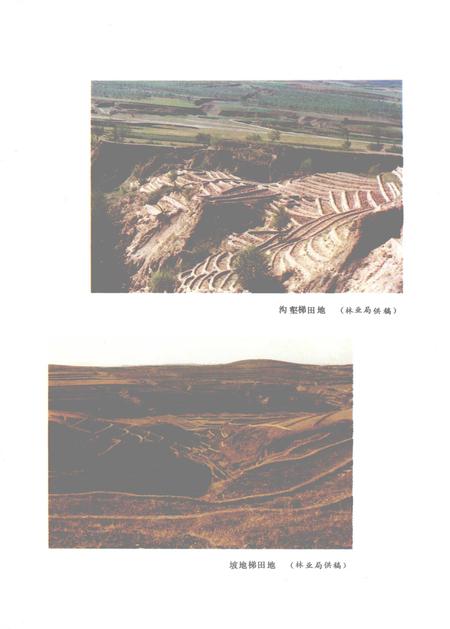 1992-平鲁县志.pdf电子版_山西省志插图4