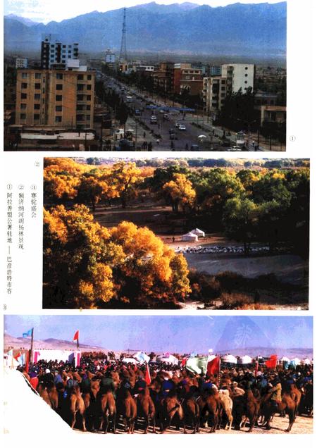 1992-阿拉善盟农牧业区划.pdf电子版_内蒙古志插图4