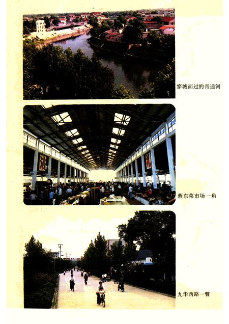 1992版青阳县志.pdf电子版_安徽省志插图4