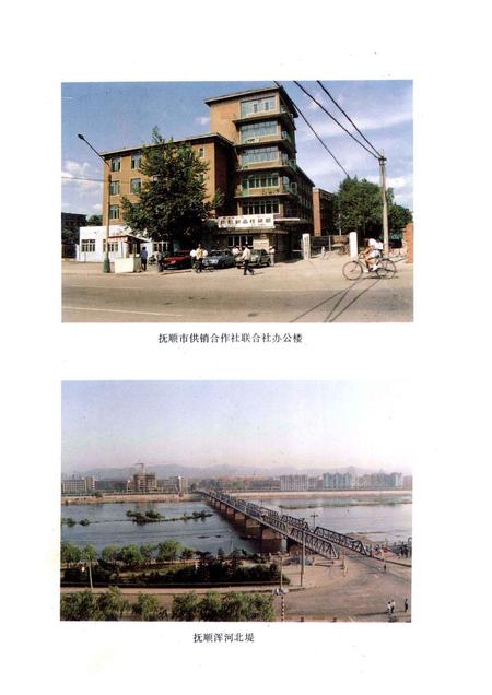 1993-抚顺市供销合作社志.pdf电子版_辽宁省志插图4