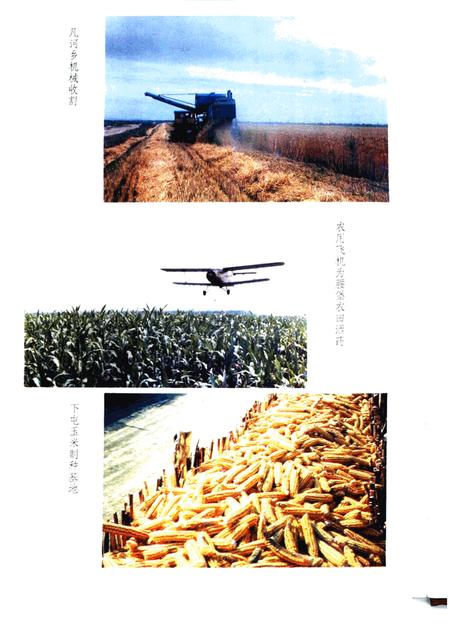 1993-铁岭县志.pdf电子版_辽宁省志插图4