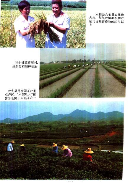 1993版六安县志.pdf电子版_安徽省志插图4