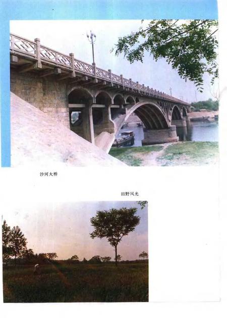 1993版太和县志.pdf电子版_安徽省志插图4