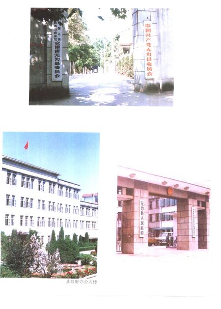 1993版无为县志.pdf电子版_安徽省志插图4