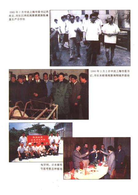 1994-嘉定县畜牧水产局志.pdf电子版_上海市志插图4
