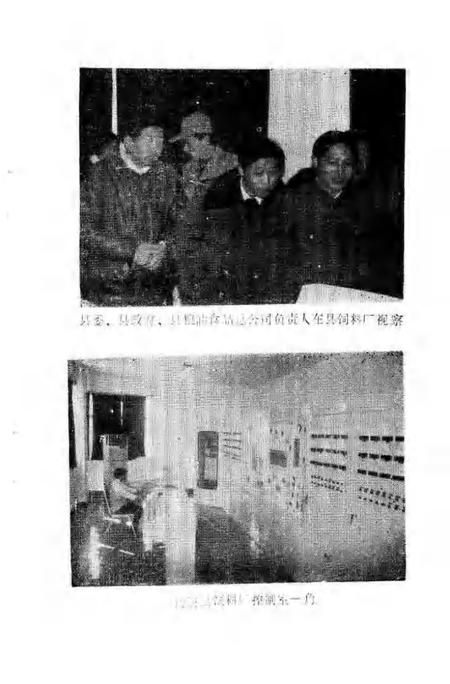 1994版南陵县文史资料  第14辑.pdf电子版_安徽省志插图4