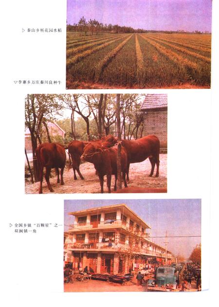 1994版蒙城县志.pdf电子版_安徽省志插图4